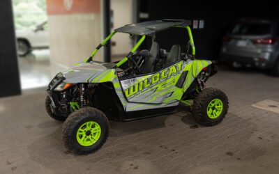 Arctic Cat Wildcat