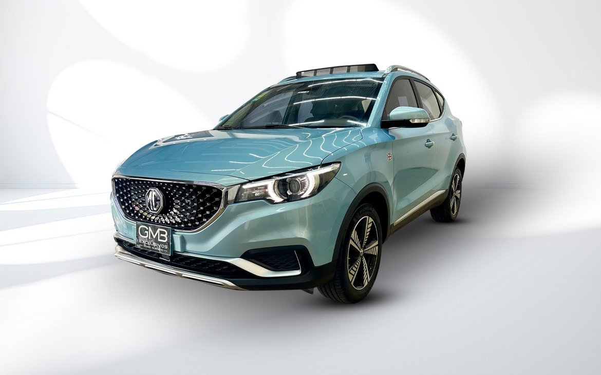 MGX816. (1)